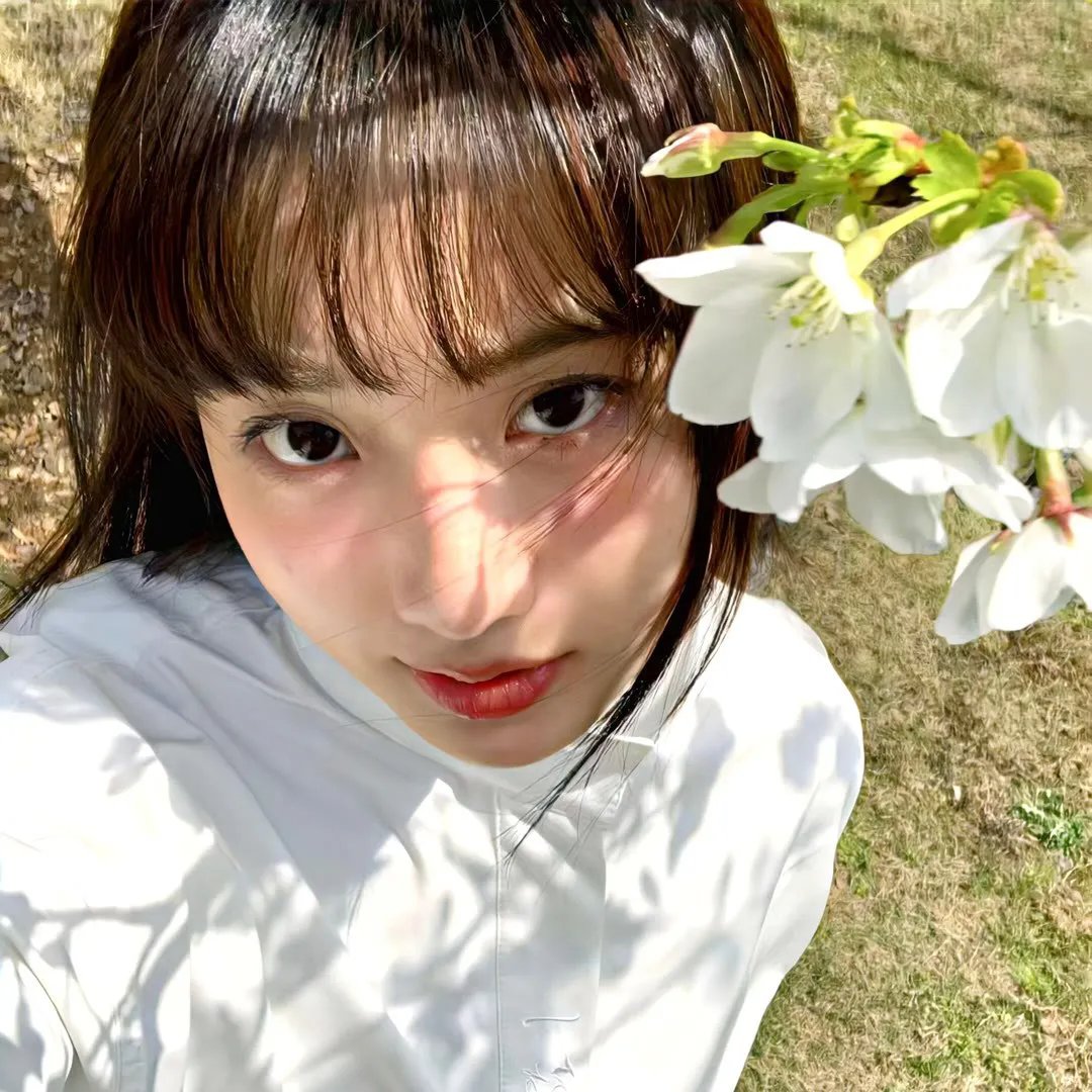 野马梅莎